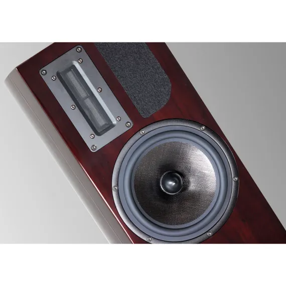 Apertura Edena Evolution Rosewood High Glossy