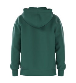 Куртка теннисная Bj_rn Borg Essential 1 Zip - posy green