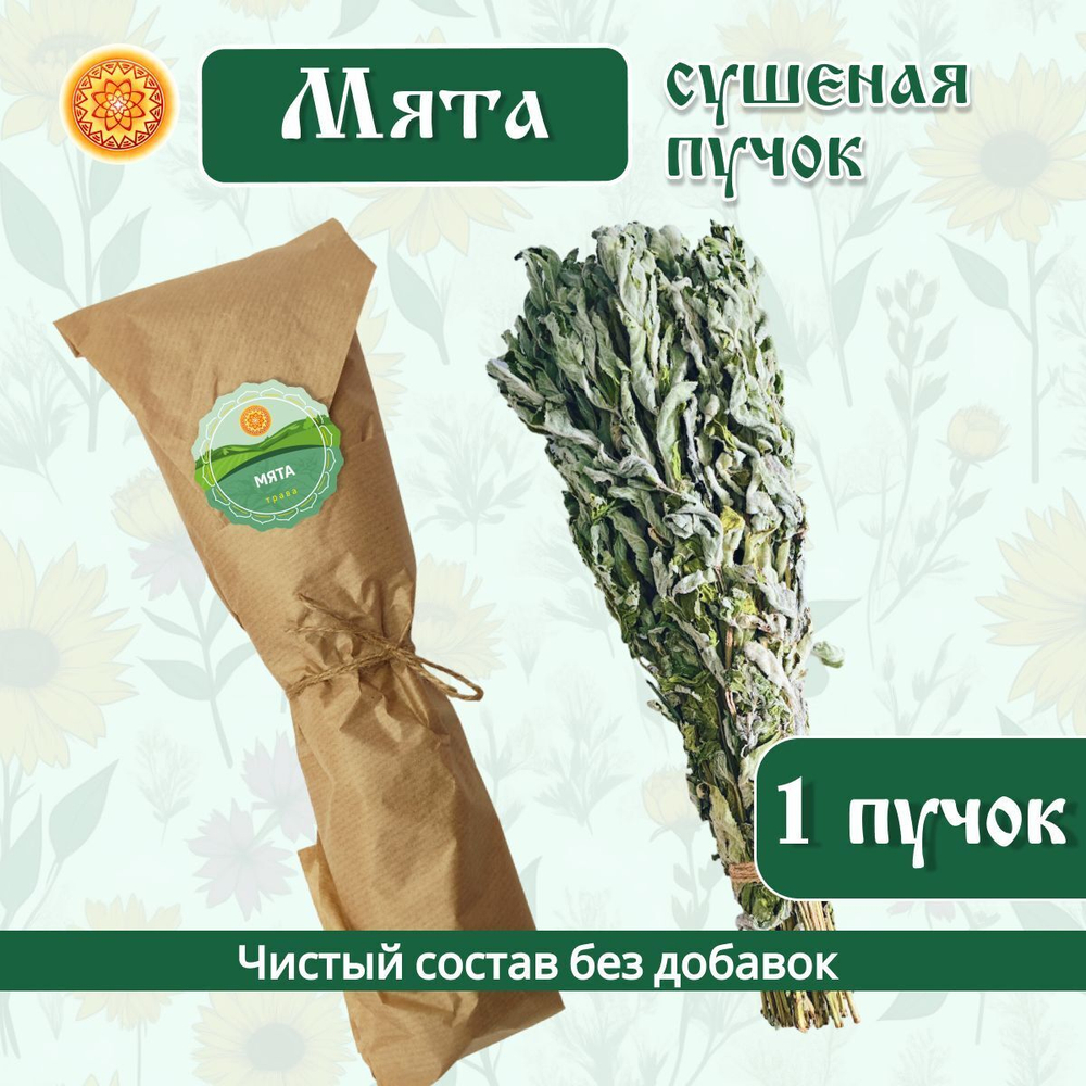 Мята дикая пучок.