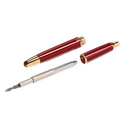 Перьевая ручка Pilot Capless Gold с золотым пером FM (FC-15SR-DRM) 3