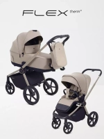 Коляска 2 в 1 Rant Flex Soft Therm