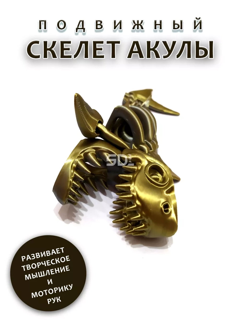 Скелет Акула