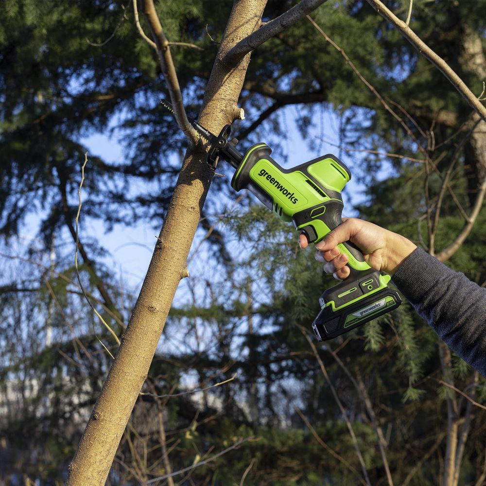 Пила сабельная акк. Greenworks GPT-CRS-25, 24V, б/щет, 0-3000/мин, рез 80 мм дер., LED, 1х2Ач,ЗУ,кор (1200507CUA)