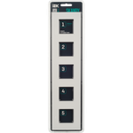 SKANDY Рамка 5-местная SK-F25W стекло арктический белый IEK