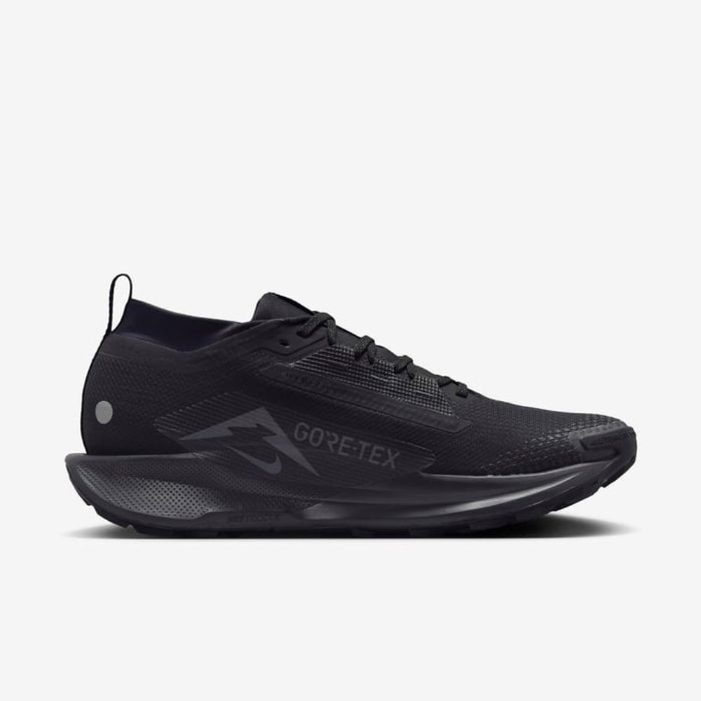Кроссовки мужские NIKE Pegasus Trail 5 GORE-TEX