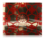 Amouage Reflection Man (100 мл парфюмированная вода + 100 мл гель для душа)