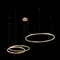 Подвесной светильник Ring 10017/3M Loft It