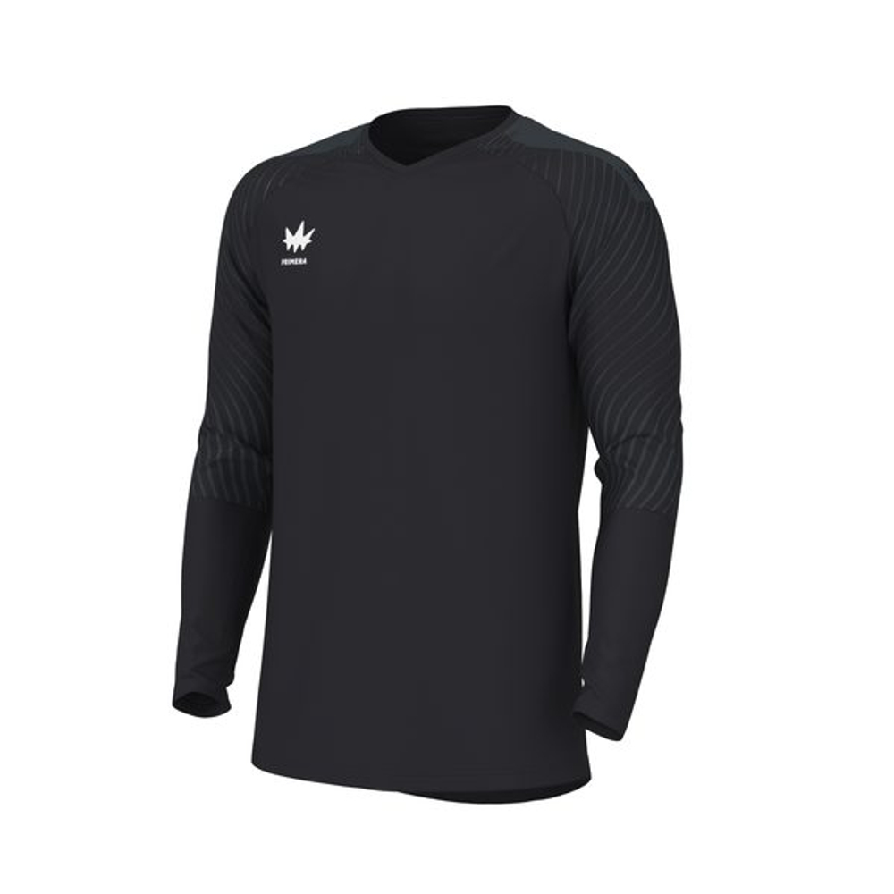 Свитер вратарский Evolution GK Jersey L/S — Black/anthracite