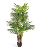 Пальма Арека Бетель в-170 см (Sensitive Botanic) (5 стволов, 24 листа) 2/2 10.071408