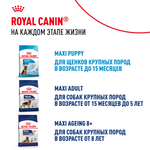 Royal Canin Maxi Starter Макси Стартер мазэ энд бэбидог Корм для щенков крупных пород до 2-х месяцев беременных и кормящих собак 15кг