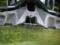 DSCN6219.jpg