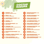 Подарочный канцелярский школьный набор 34 предмета Авокадо, MC-Basir, Большой бокс с канцелярией для девочек 2025, в подарок на Новый год и День рождения
