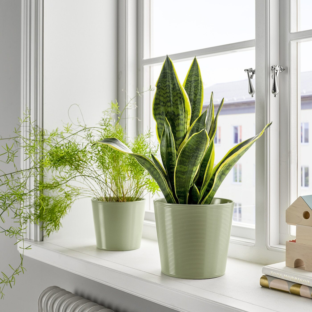 IKEA BROKSPIREA  (ИКЕА БРОКСПИРЕА)  -  Простыня, светло-зеленая, 15 см