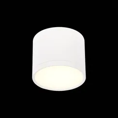 Точечный светильник Rene ST113.532.09 ST Luce