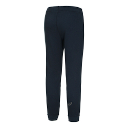 Мужские теннисные штаны ASICS Big Logo Sweat Training Pants Men - Blue