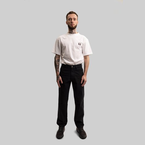 Брюки мужские Dickies Skateboarding Jake Hayes Canvas Pant артикул:WPJH01 - купить в магазине Дайс
