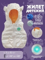 жилет утепленный