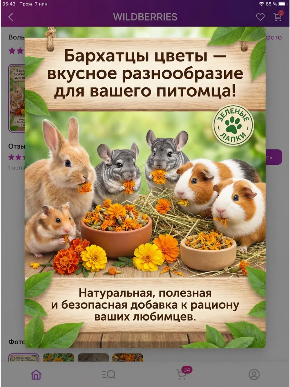 Бархатцы цветки для творчества, декора, чая
