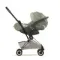 Прогулочная коляска Cybex Coya Style RG Sage Green