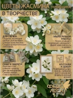 Жасмин цвет с бутонами для свечей