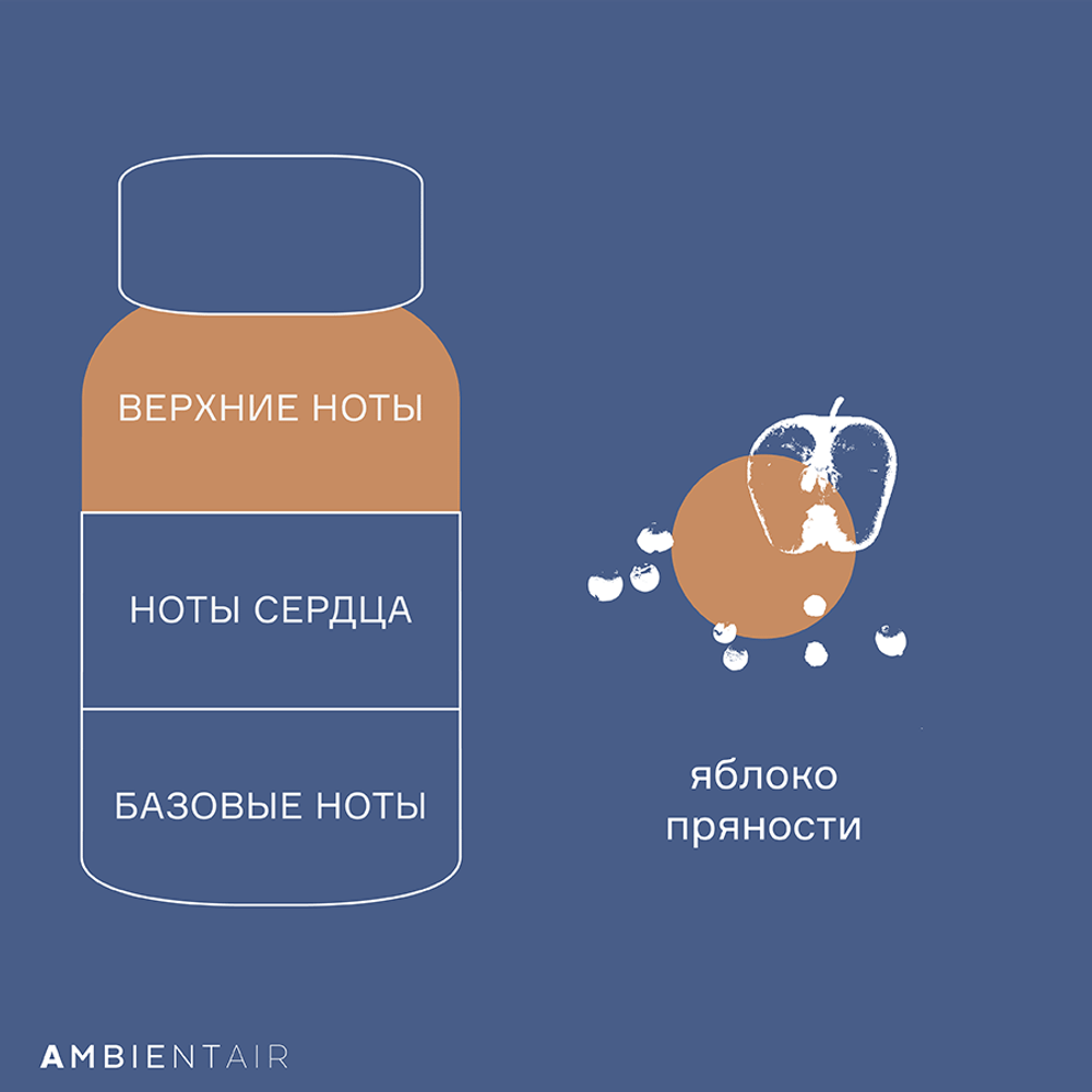 Диффузор ароматический 100мл Ambientair Gifting Карамель и яблоко