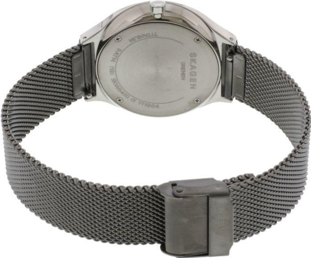 Мужские наручные часы Skagen SKW6460