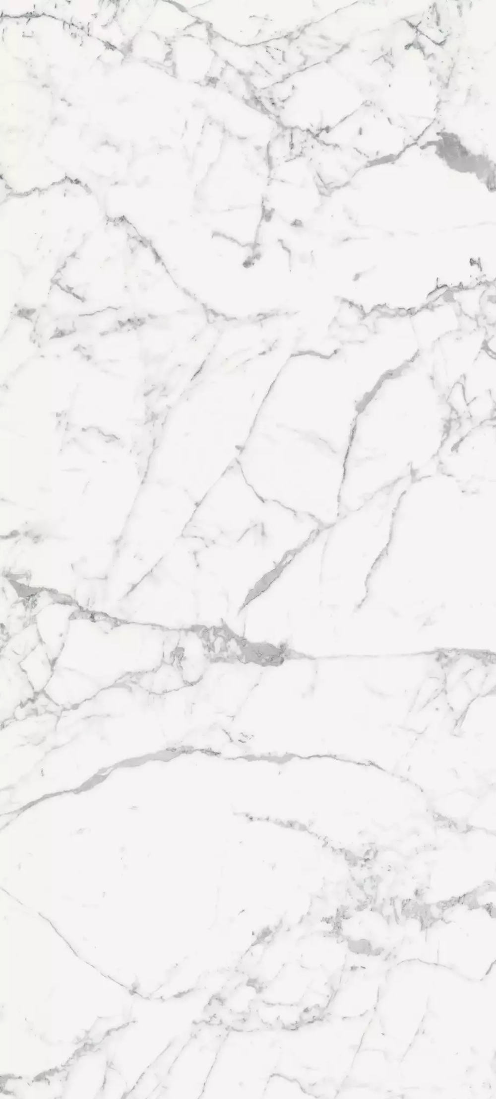 Керамогранит Magnum Les Origines de REX Blanc Matte 6mm