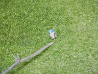 DSCN4004.jpg