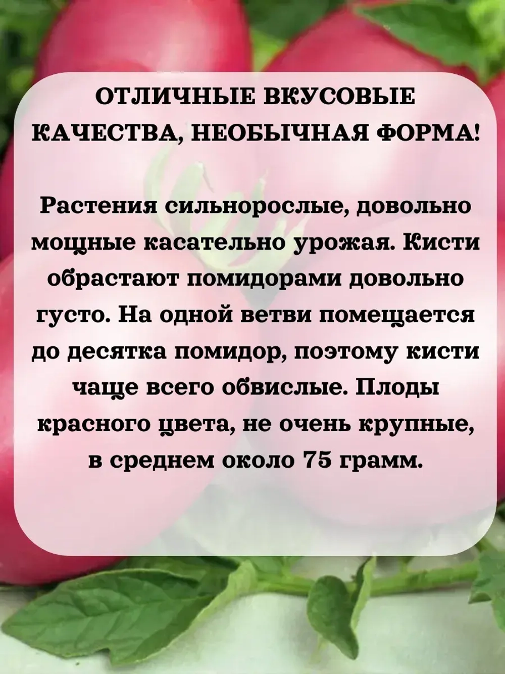 Семена Томат Де Барао розовый 0.2 гр