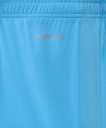 Шорты игровые Jogel DIVISION PerFormDRY Union Shorts, голубой S2