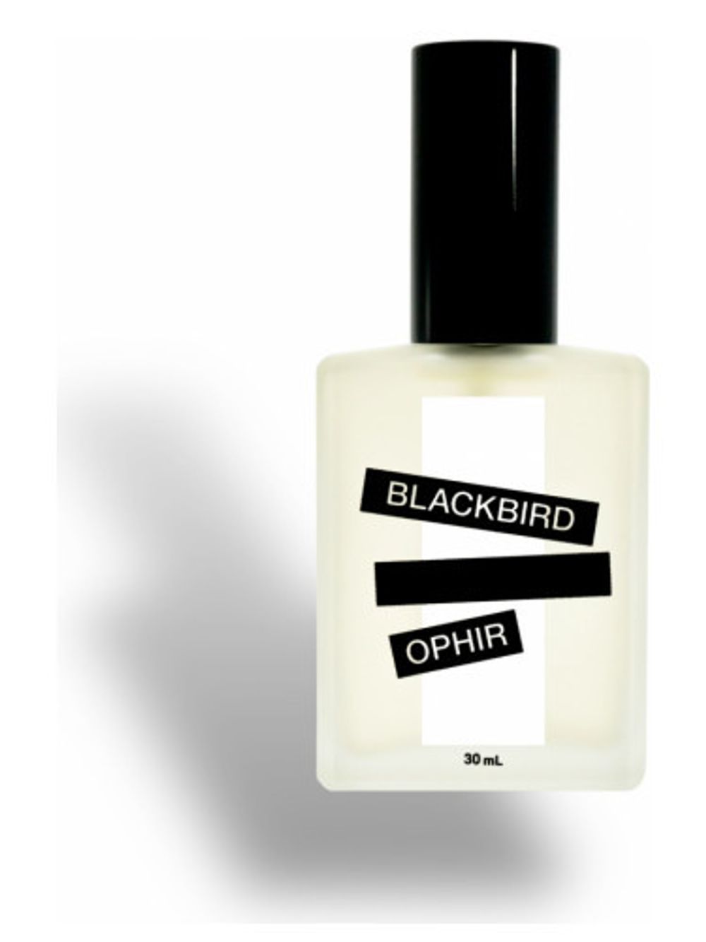 Blackbird Ophir