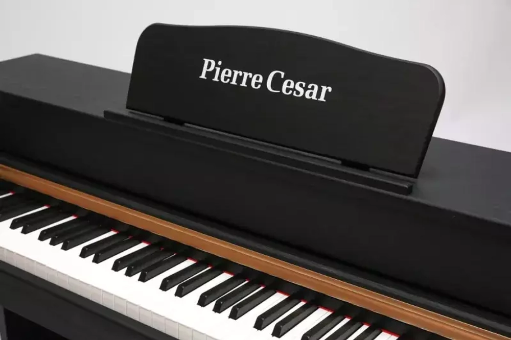 Pierre Cesar DP-500-H