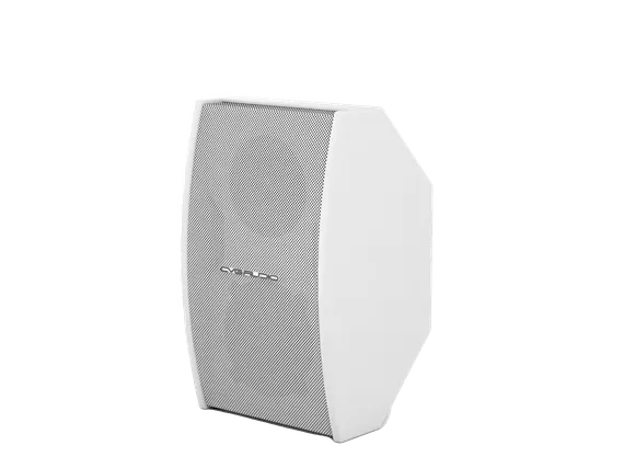 CVGAUDIO AXE5:8W инсталляционная акустическая система