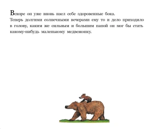 Медвежье чудо (2-е издание)