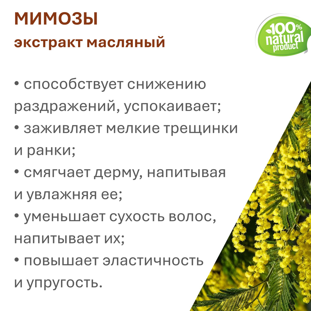 Экстракт мимозы, масляный