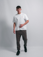 Спорт.штаны JORDAN #2301 (сер.)