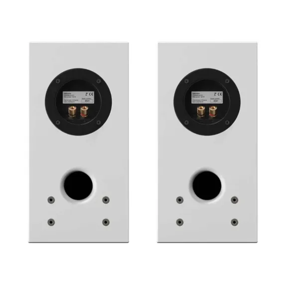 Auris Blues White + Quad Vena II Silver + Amphion Helium510 White