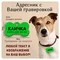 Адресник  для собаки с гравировкой большая зелёная "Косточка" 38*25мм (металл), собаке, для кошек, на ошейник, брелок, медальон