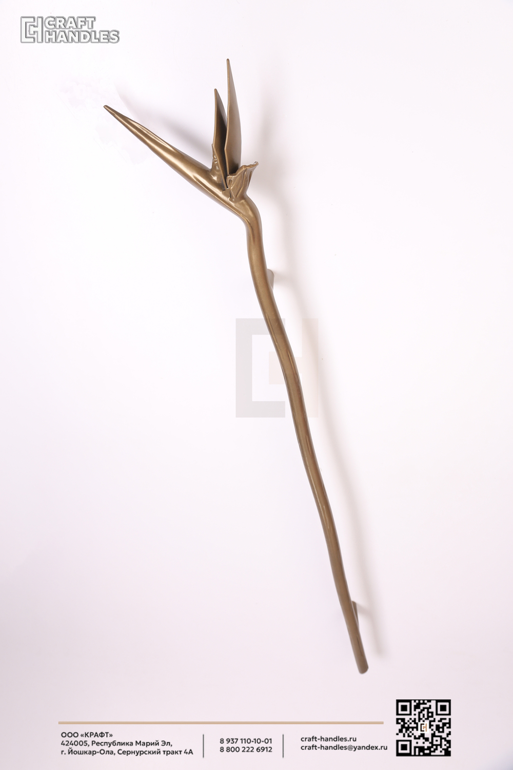 STRELITZIA