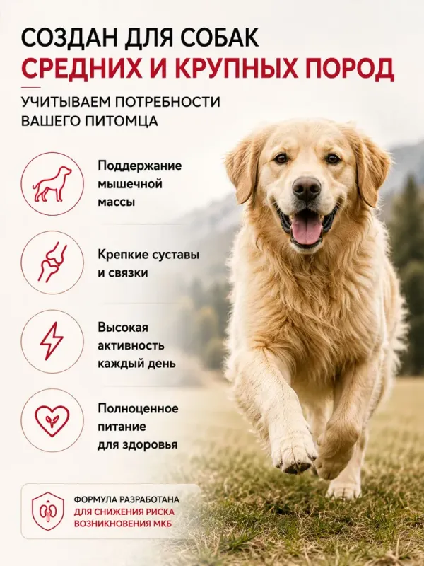 Сухой корм Fealdon для взрослых собак средних и крупных пород из ягненка
