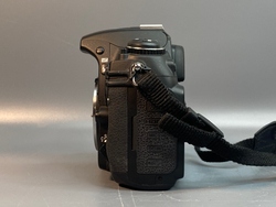 Nikon D300S 22.408 кадров