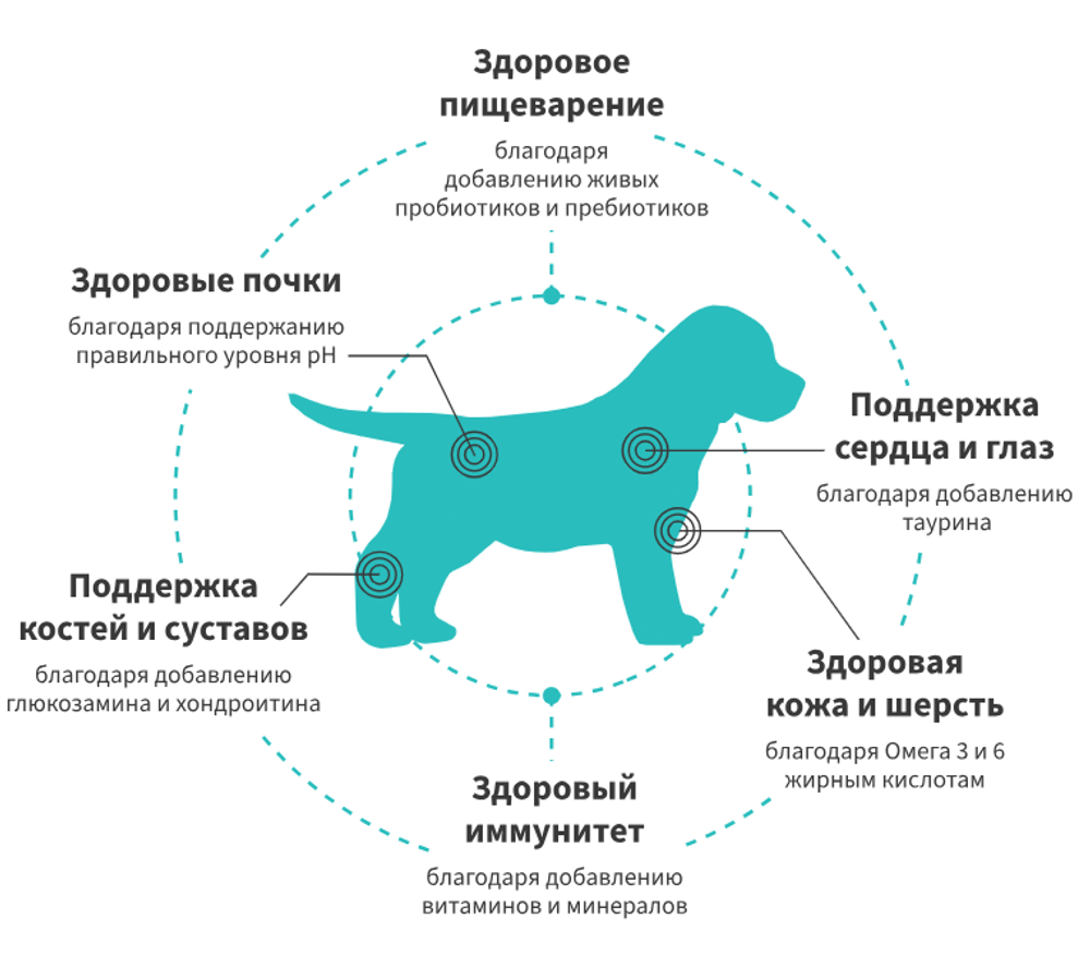 GRANDORF FRESH Свежее мясо ягненка с бататом для щенков