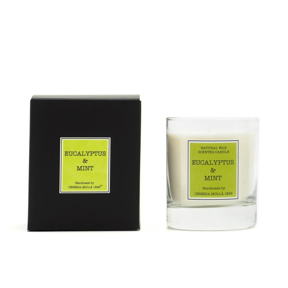 Cereria Molla Ароматическая свеча 230 г Eucalyptus & Mint 5509