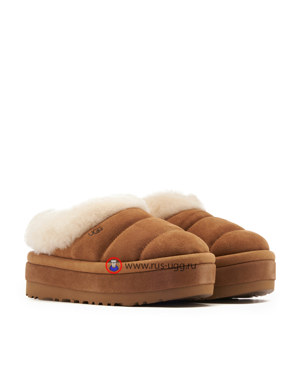 TAZZLITA Chestnut