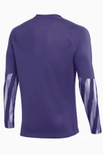 Вратарская кофта Nike Dri-FIT Park V GK Детская - фиолетовый