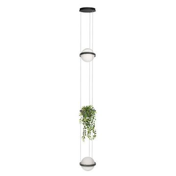 Подвесной светильник LED 48W 3000К 10121/2P Dark grey антрацит Jardin LOFT IT