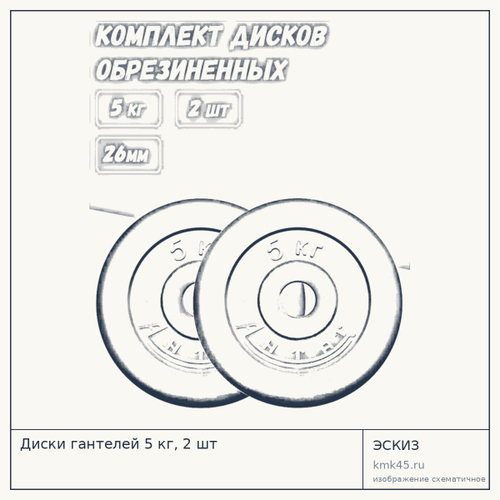 Диски гантелей 5 кг, 2 шт — от 2 800 ₽