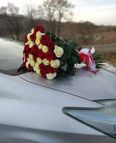 49 высоких роз