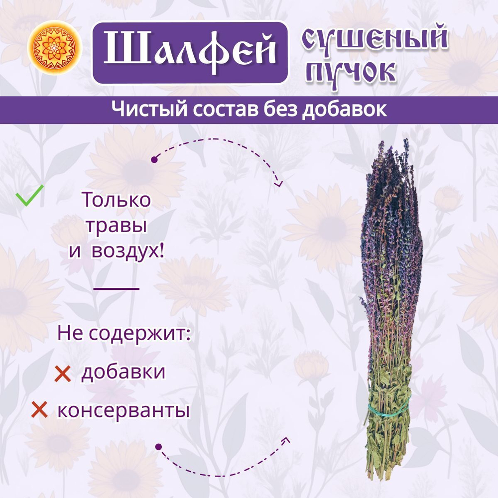 Шалфей пучок