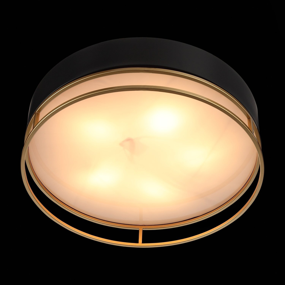 Светильник потолочный ST Luce Chodo SL1127.432.05